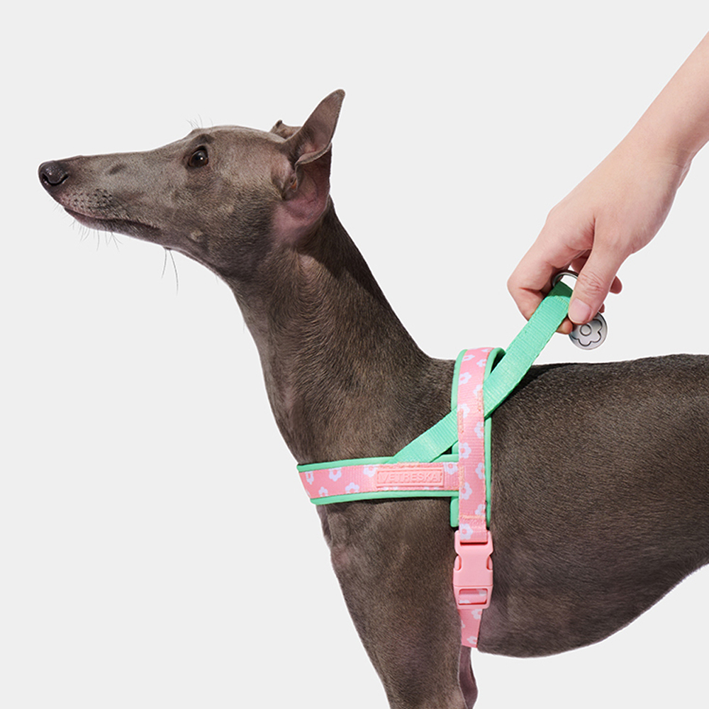 Роскошный комплект: шлейка и п – обзор и цена Headcollar Rope Set